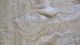 20170709_140901_large