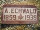 Albert Thyge Jensen Echwald